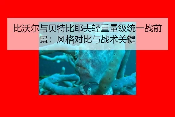 bi-wo-er-yu-bei-te-bi-ye-fu-qing-zhong-liang-ji-tong-yi-zhan-qian-jing-feng-ge-dui-bi-yu-zhan-shu-guan-jian-3-421.jpg
